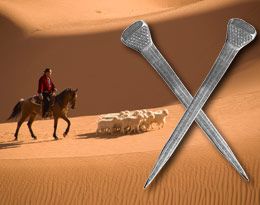 Capewell City Head Horshoe Nails 100 count box