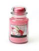 Cherry Limeade 2 in 1 Jar Candle 26oz