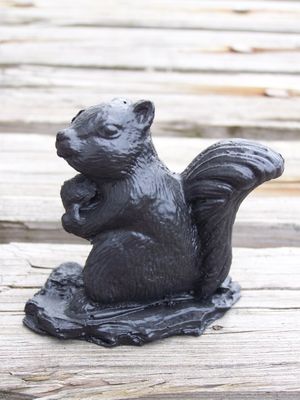 Coal Squirrel