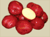 Dark Red Norland Potatoes IN STORE PICKUP ONLY Dark Red Norland Potatoes IN STORE PICKUP ONLY