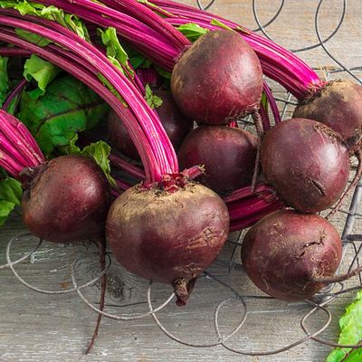 Heirloom Detroit Dark Red Beet Seeds