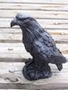 Eagle Handcrafted from Coal