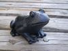 Frog Handcrafted from Coal