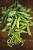 Heirloom Early Frosty Shell Pea One Pound