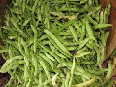 Heirloom Old Fashion White 1/2 Runner Bean Seeds One Pound 