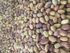Heirloom Pink Half Runner/Peanut Bean Seeds One Pound Heirloom Pink Half Runner/Peanut Bean Seeds One Pound