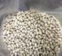 Heirloom Roma II Bush Bean Seeds One pound  Non GMO Stringless