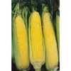 Honey Select Triple Sweet Yellow Hybrid Corn seed One pound