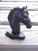 Horse Head