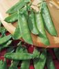 Heirloom Mammoth Melting Sugar Pod / Salad Pea / Snow Pea Half Pound