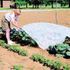 Master Gardner Frost Blanket 6ftx50ft