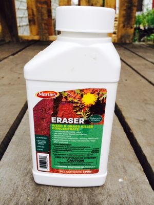 ERASER WEED AND GRASS KILLER CONCENTRATE PINT 