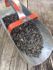 Peredovik Black Sunflower Seeds One Pound