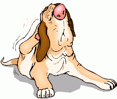 Pet Flea, Tick & Fly Control