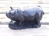 Standing Pig