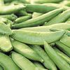 Heirloom Sugar Ann Pea Seeds One Pound