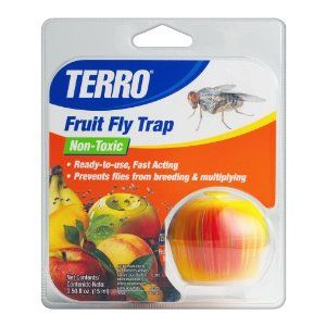 Terro Fruit Fly Trap 