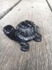 Turtle Handcrafted from Coal