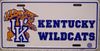 Univeristy of Kentucky Metal License Plate