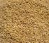 Winter Wheat 50 lbs in store pick up only Winter Wheat 50 lbs in store pick up only