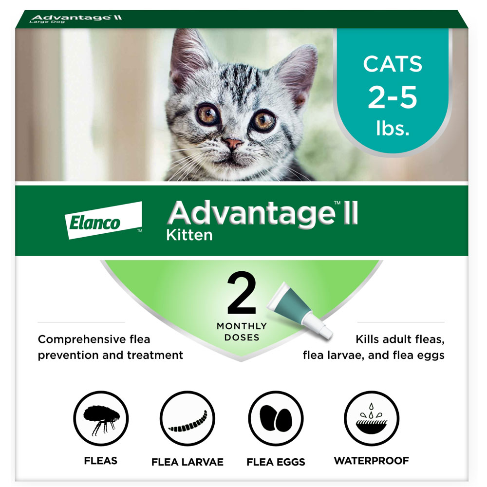 Photo inspiration: Fresh Look at Advantage Ii Kitten 2 5 Lbs Vet Recommended Flea Treatment