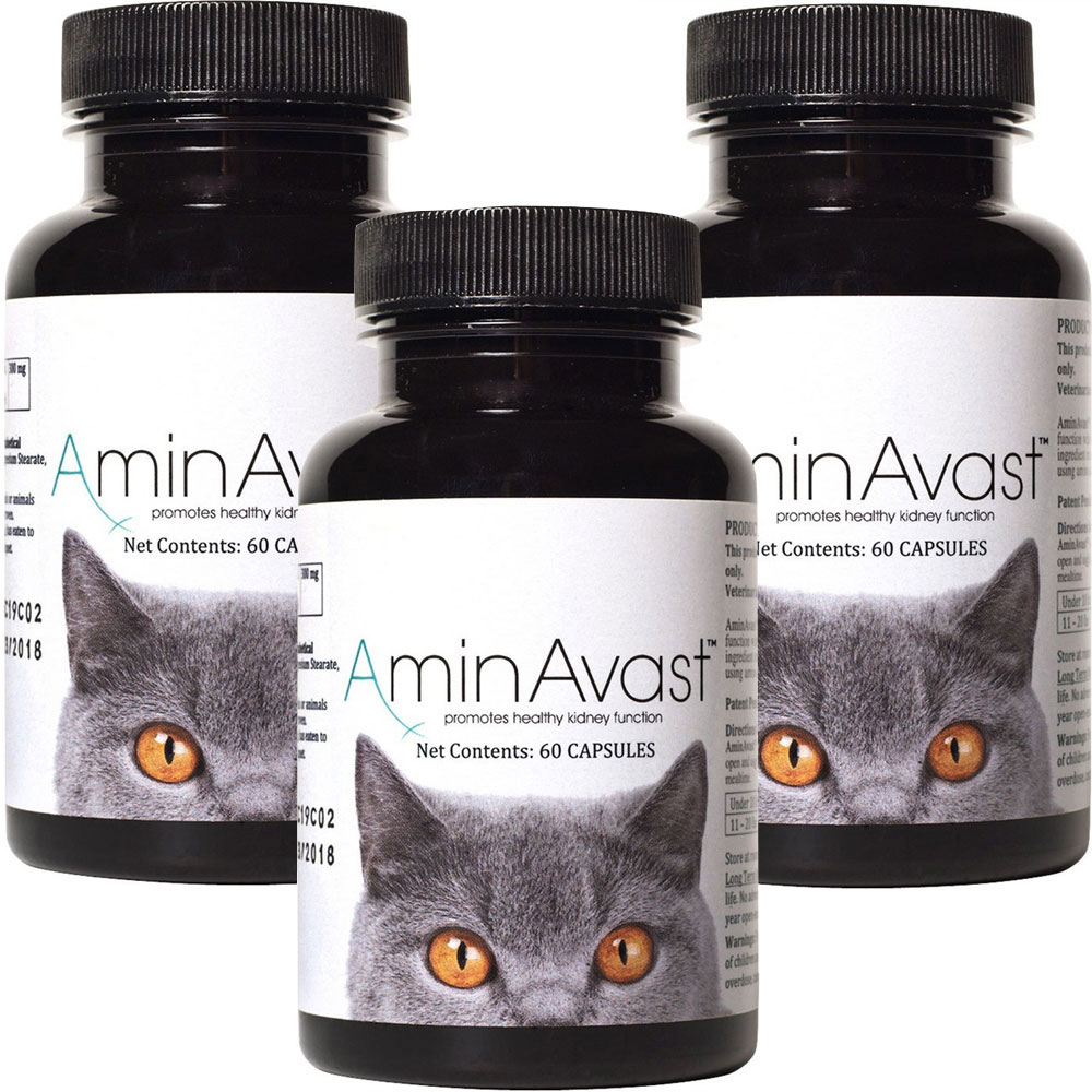 3PACK AminAvast Kidney Support for Cats (180 capsules) On Sale