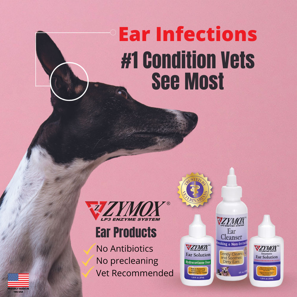 3PACK Zymox Ear Cleanser (12 oz) On Sale EntirelyPets Rx