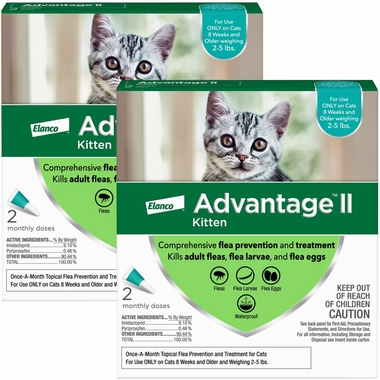 Beautiful view of Flea Control For Kittens Under 5 Lbs