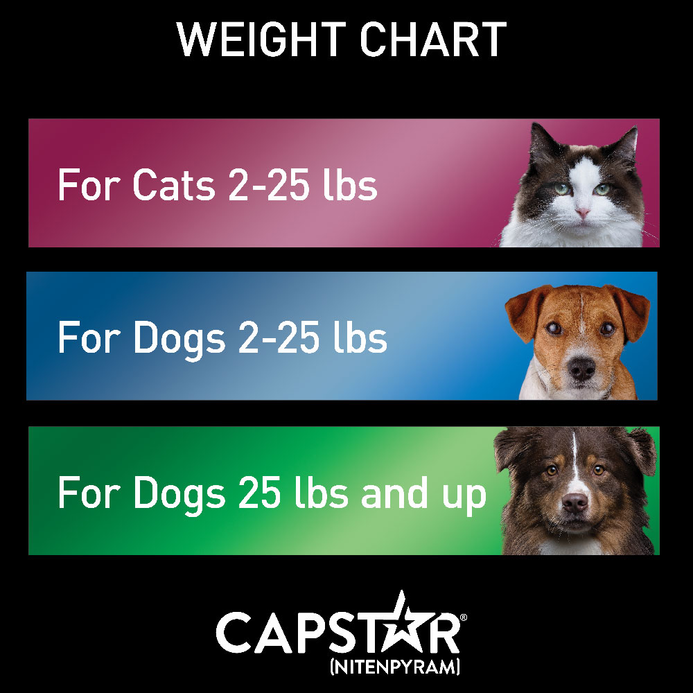 Capstar Flea Control Cats 225 lbs (6 tablets) On Sale EntirelyPets Rx