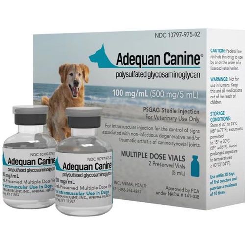 Subcutaneous Injection Adequan Injections For Dogs 85