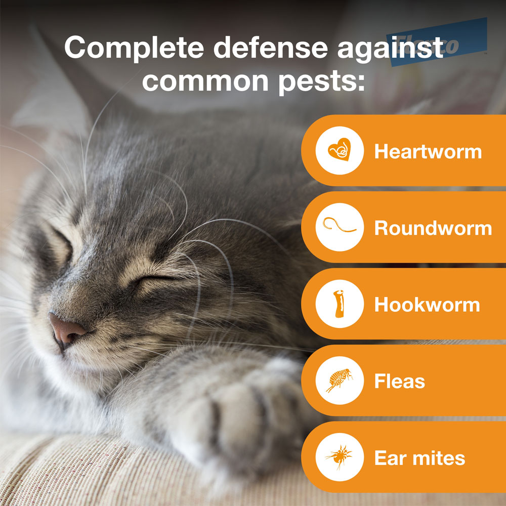 Advantage Multi for Cats 25 lbs.5in1 Heartworm PreventionKills