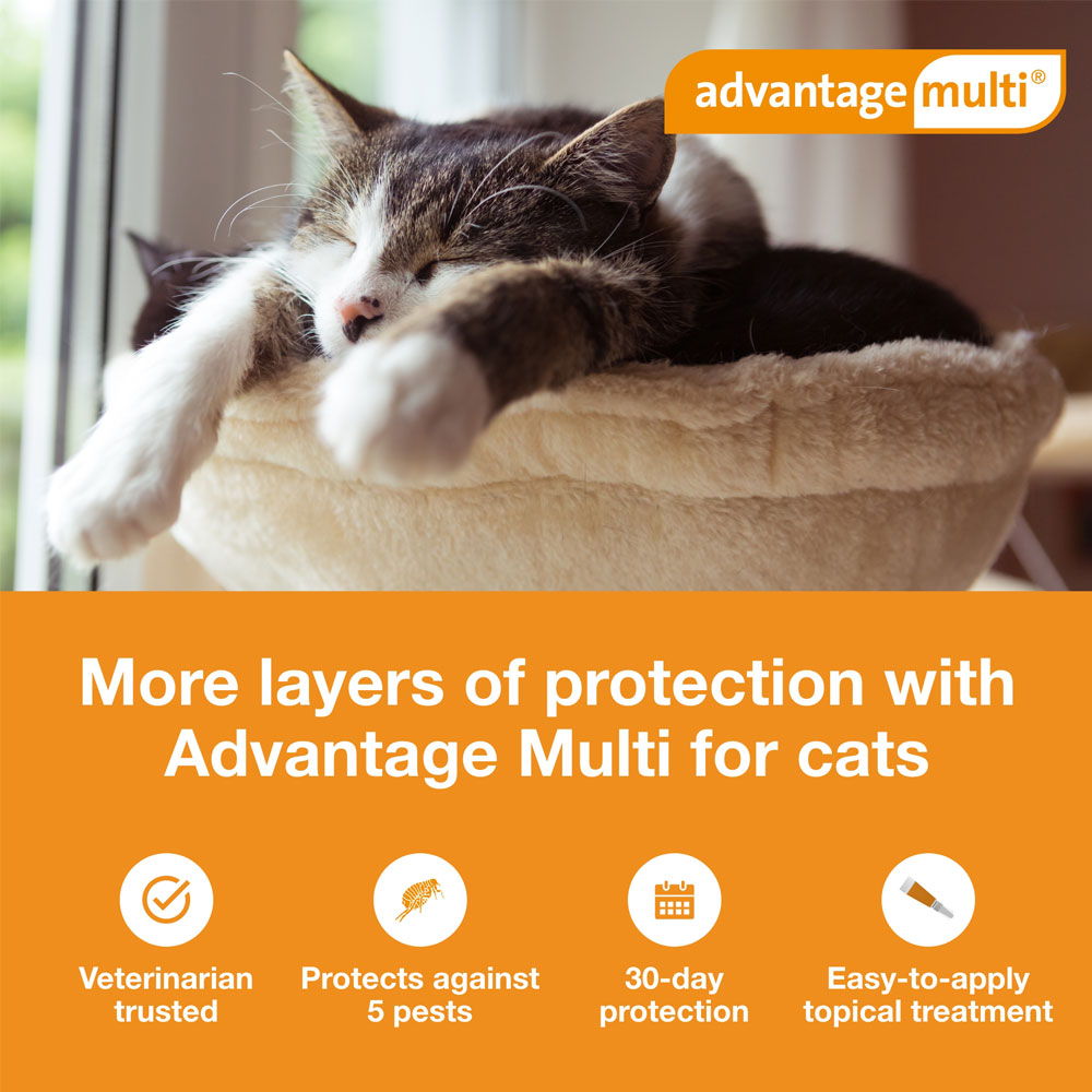 Advantage Multi for Cats 9.118 lbs.5in1 Heartworm PreventionKills