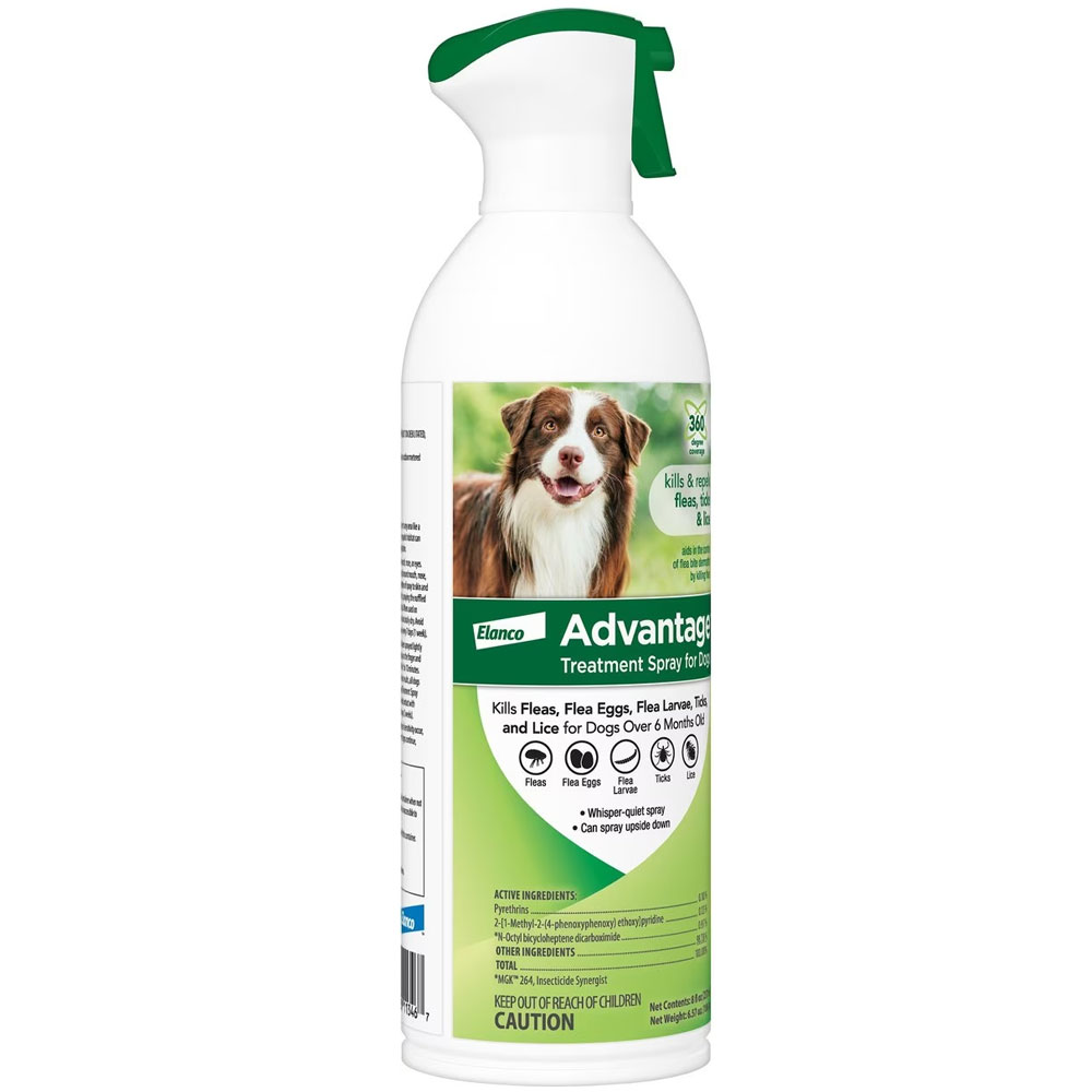 Advantage spray for dogs Clearance