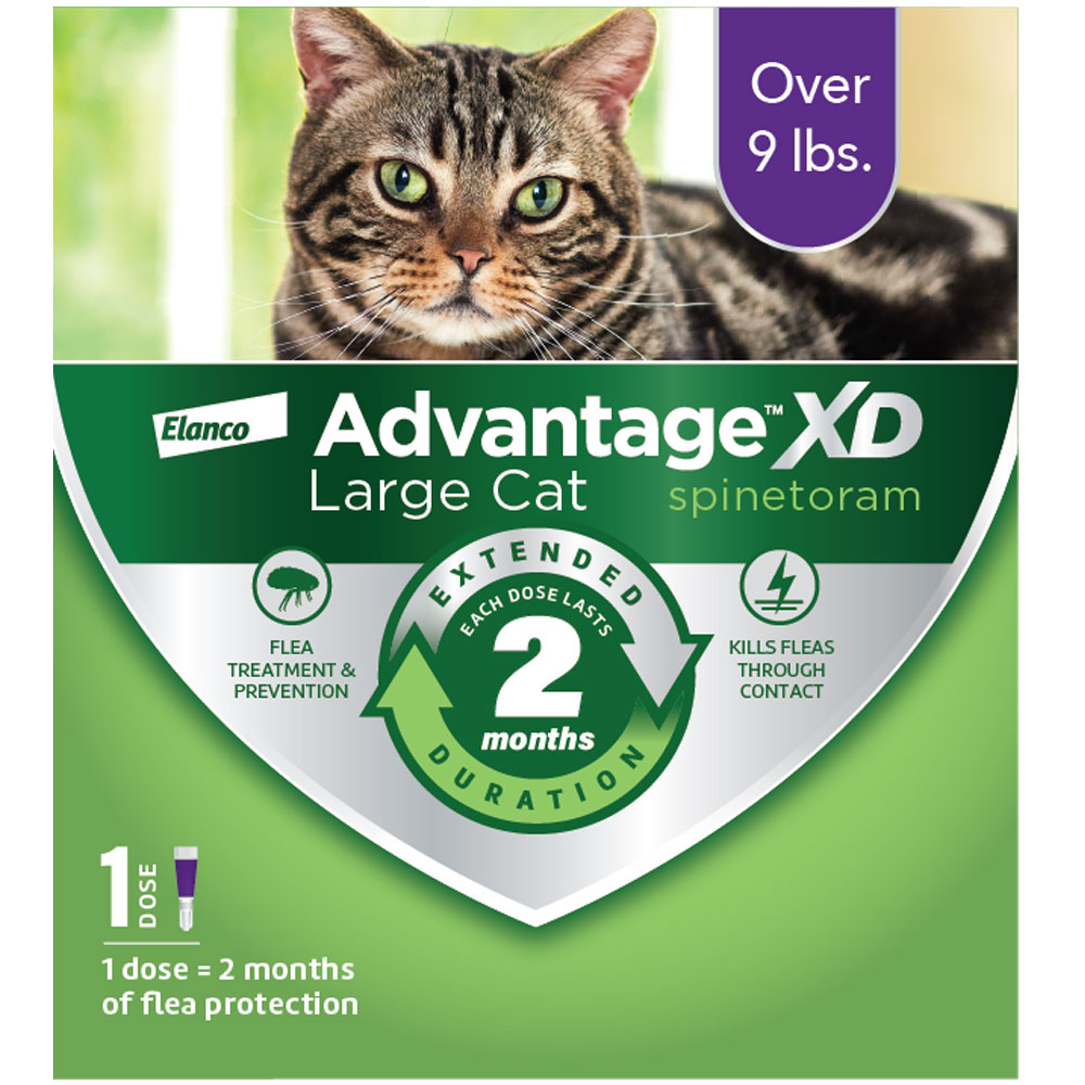 Advantage XD Flea Control for Large Cats, Over 9 lbs, 1Dose (2 month
