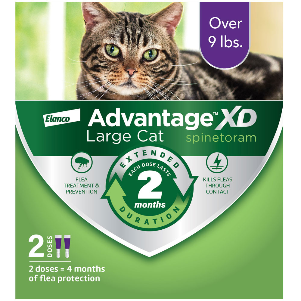Advantage XD Flea Control for Large Cats, Over 9 lbs, 2Dose (4 month
