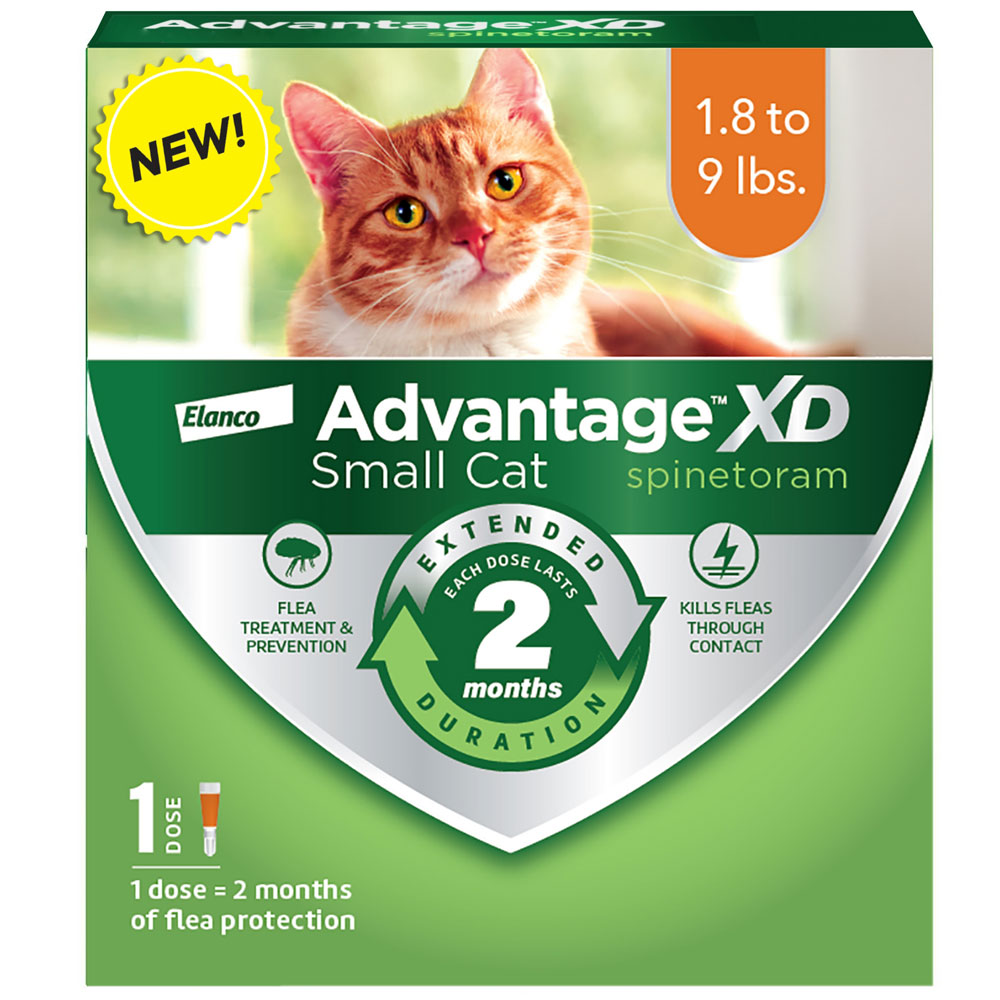 Advantage XD for Small Cats (1.89 lbs), LongLasting Flea Prevention