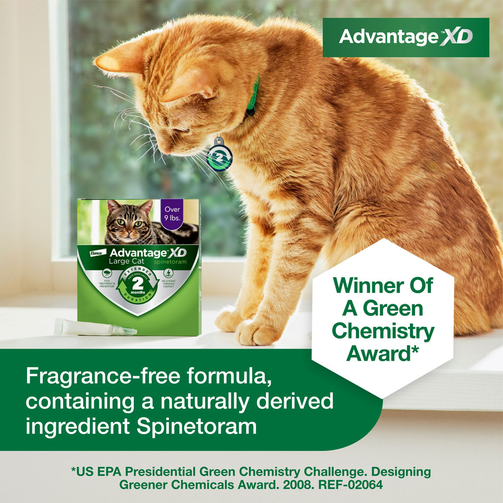 Advantage XD for Large Cats (Over 9 lbs), LongLasting Flea Prevention
