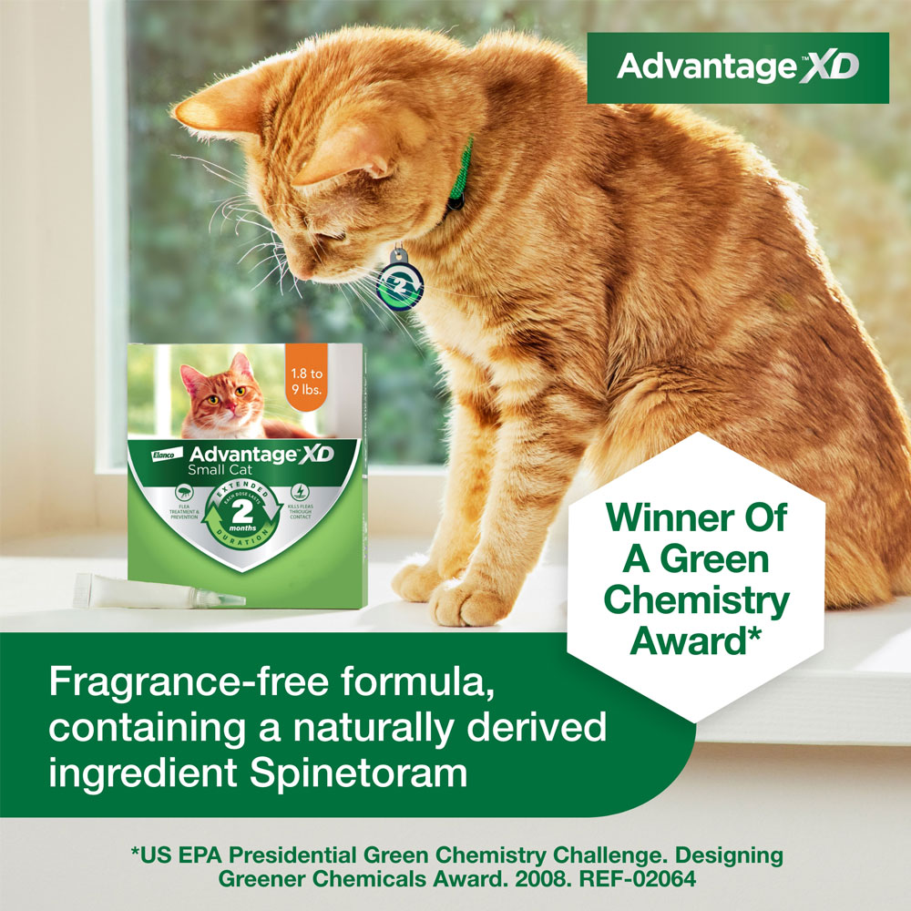 Picture of Advantage XD for Small Cats (1.8-9 lbs), Long-Lasting Flea Prevention ...