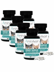 AminAvast Kidney Support for Cats & Small Dogs (360 Capsules)