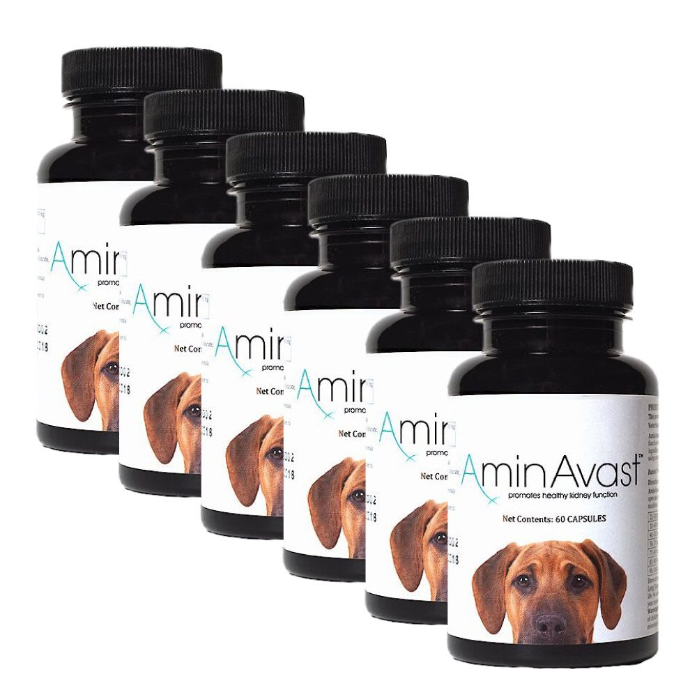 アミンアバスト 300mg 猫・小型犬用 60カプセル 2本 セット 2個セット】アミンアバスト 300mg（猫・小型犬用） 60カプセル×2