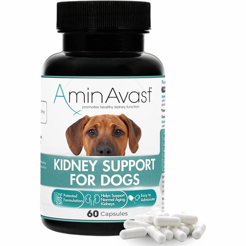 AminAvast 犬用サプリメント 60粒 アミンアバスト AminAvast™ Kidney Support for Dogs (60 Capsules) | On Sale