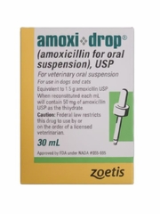 Amoxi Drop Amoxicillin Drops for Dogs and Cats 30 mL - Bottle