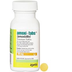 Amoxicillin 250 tabletten