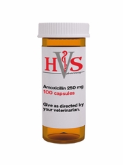 Amoxicillin Capsules for Dogs 500 mg, 500ct