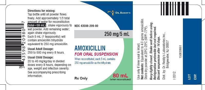Amoxil 12h suspension precio