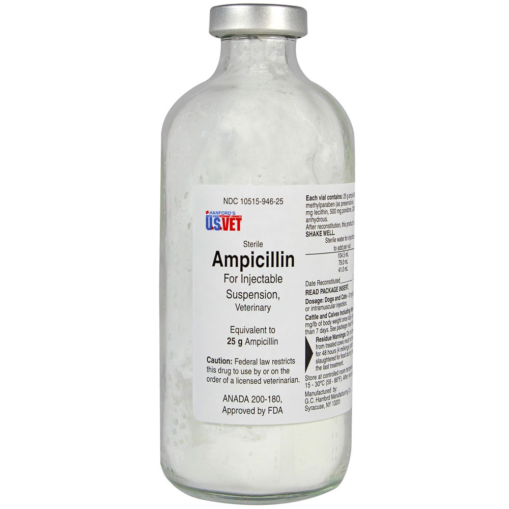Ampicillin for Dogs, Cats & Cattle for Injectable Suspension (25g