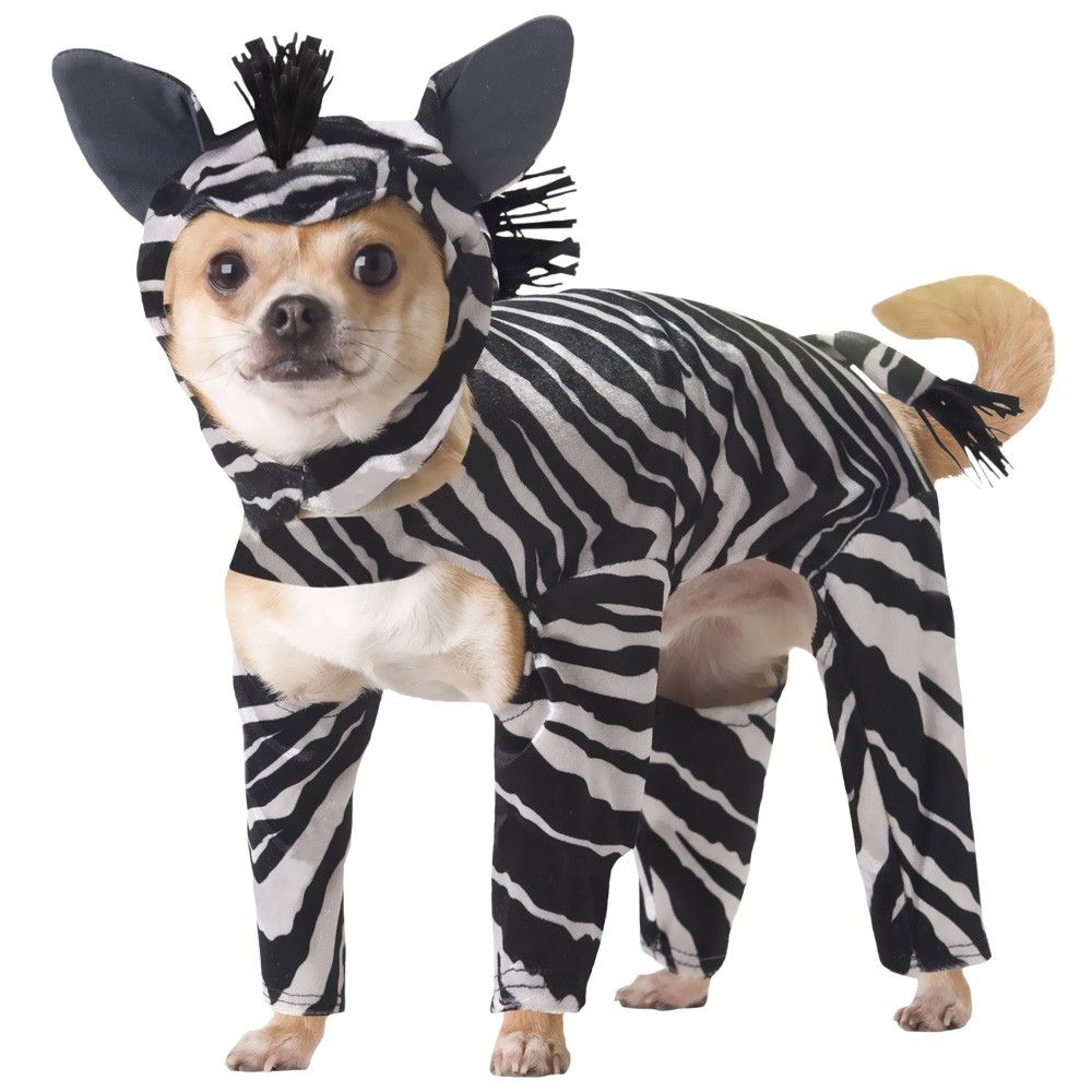 Animal Zebra Dog Costume Large On Sale EntirelyPets Rx