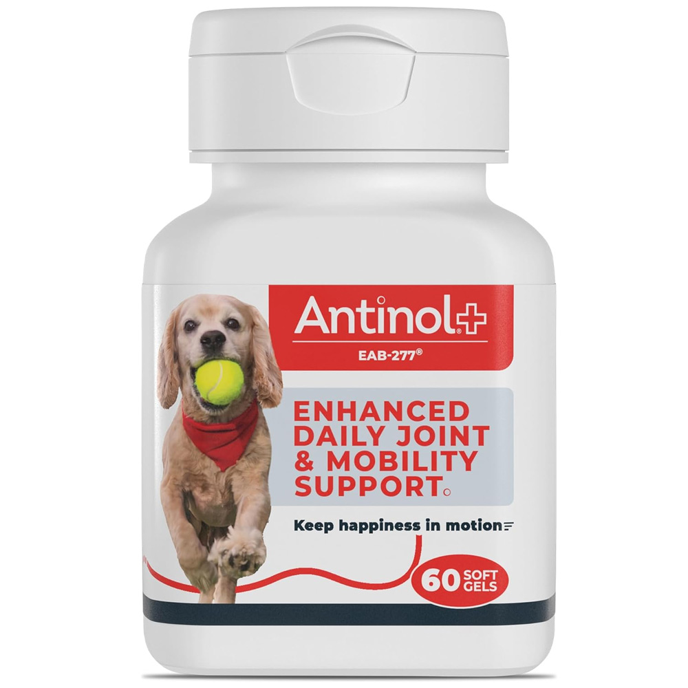 Joint Supplements For Cats Side Effects Shop Stores