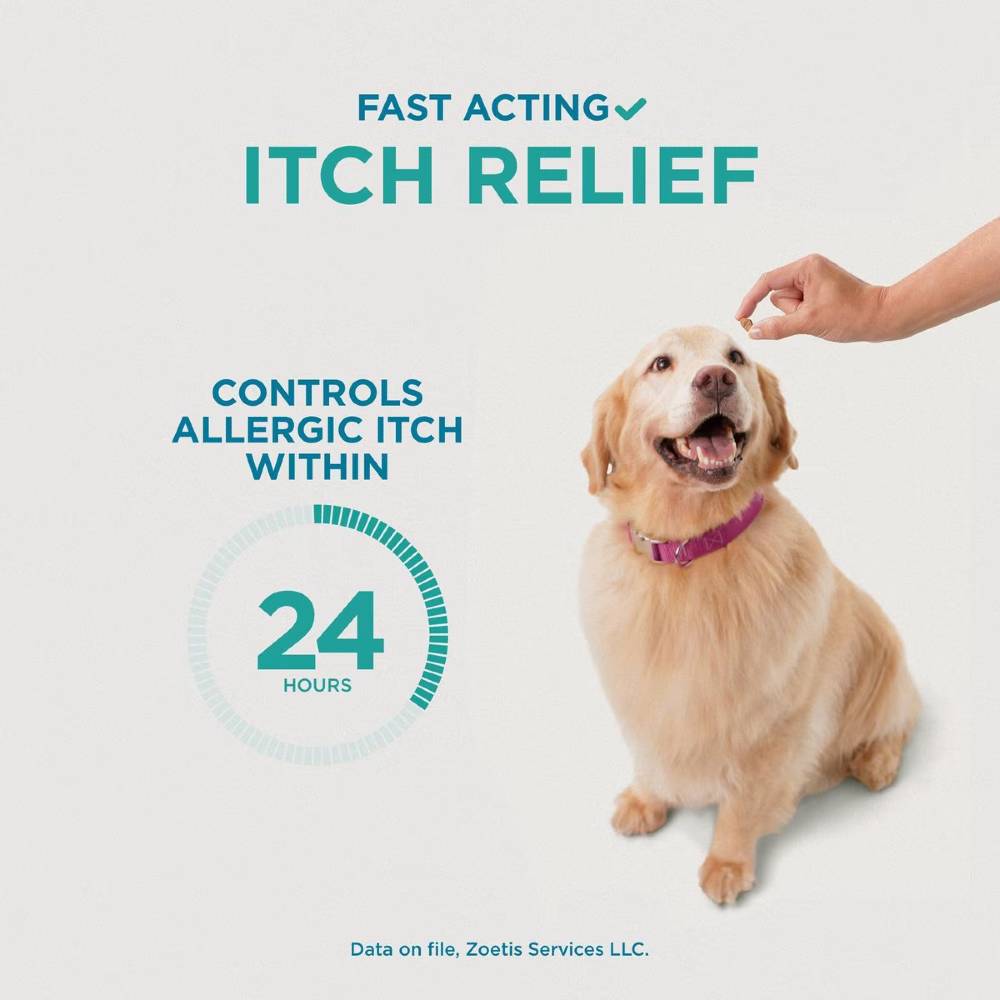 Itch & Allergy Chewable Tablets For Dogs - Fast Relief, 100 Count