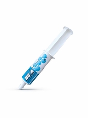 BC2A Oral Paste 88 g Syringe
